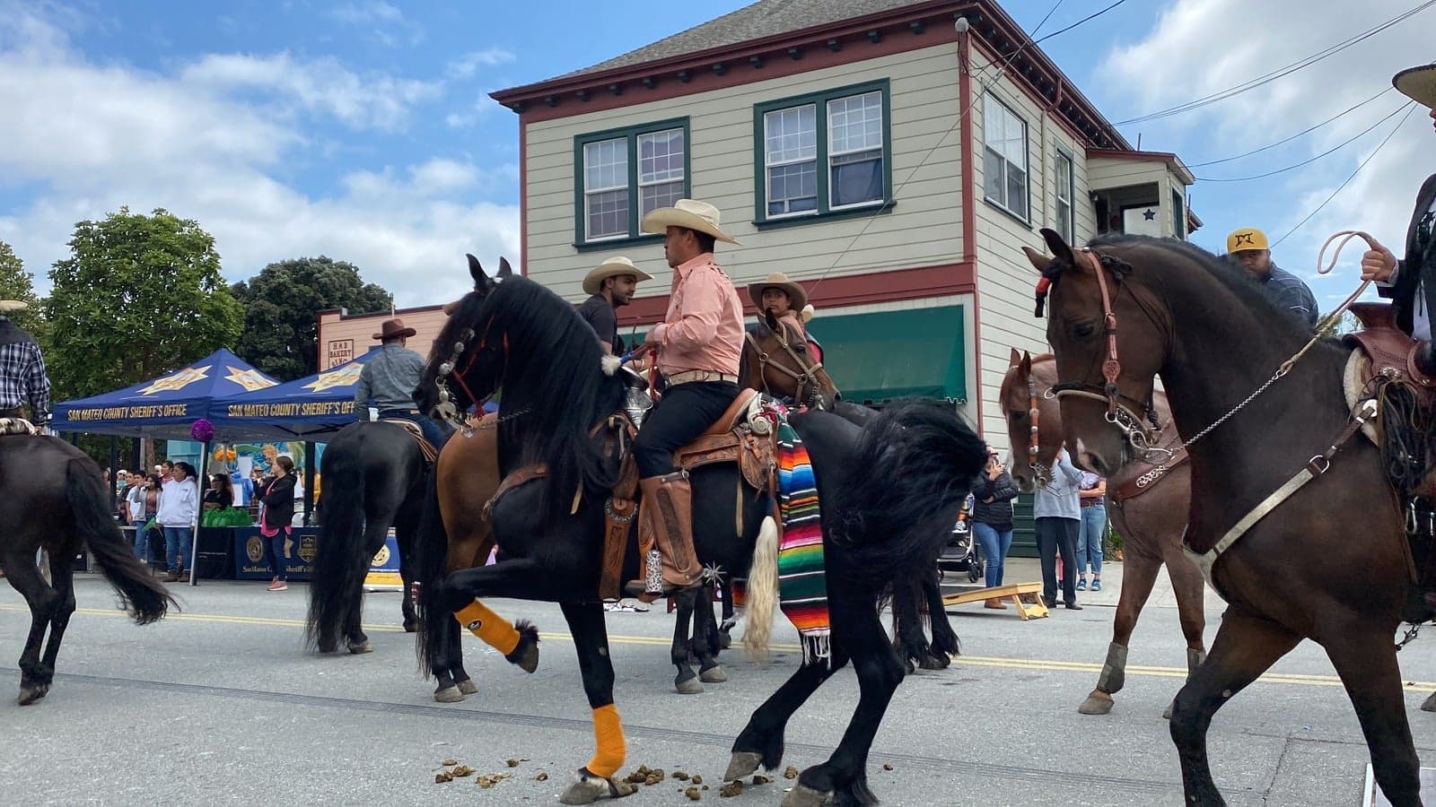 A dancing horse in a colorful blanket prancing on Main Street